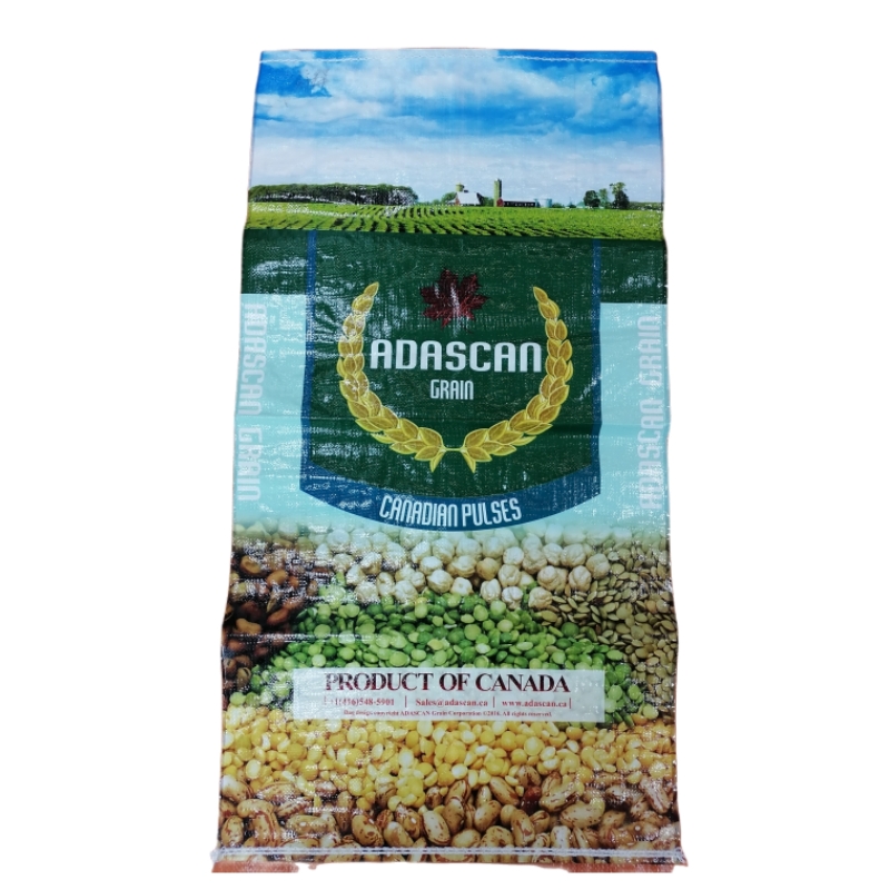 Customized printing 15kg 25kg 50kg BOPP woven bag for rice grain seed