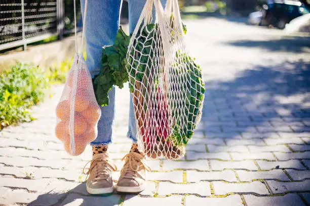 vegetable storage net bags